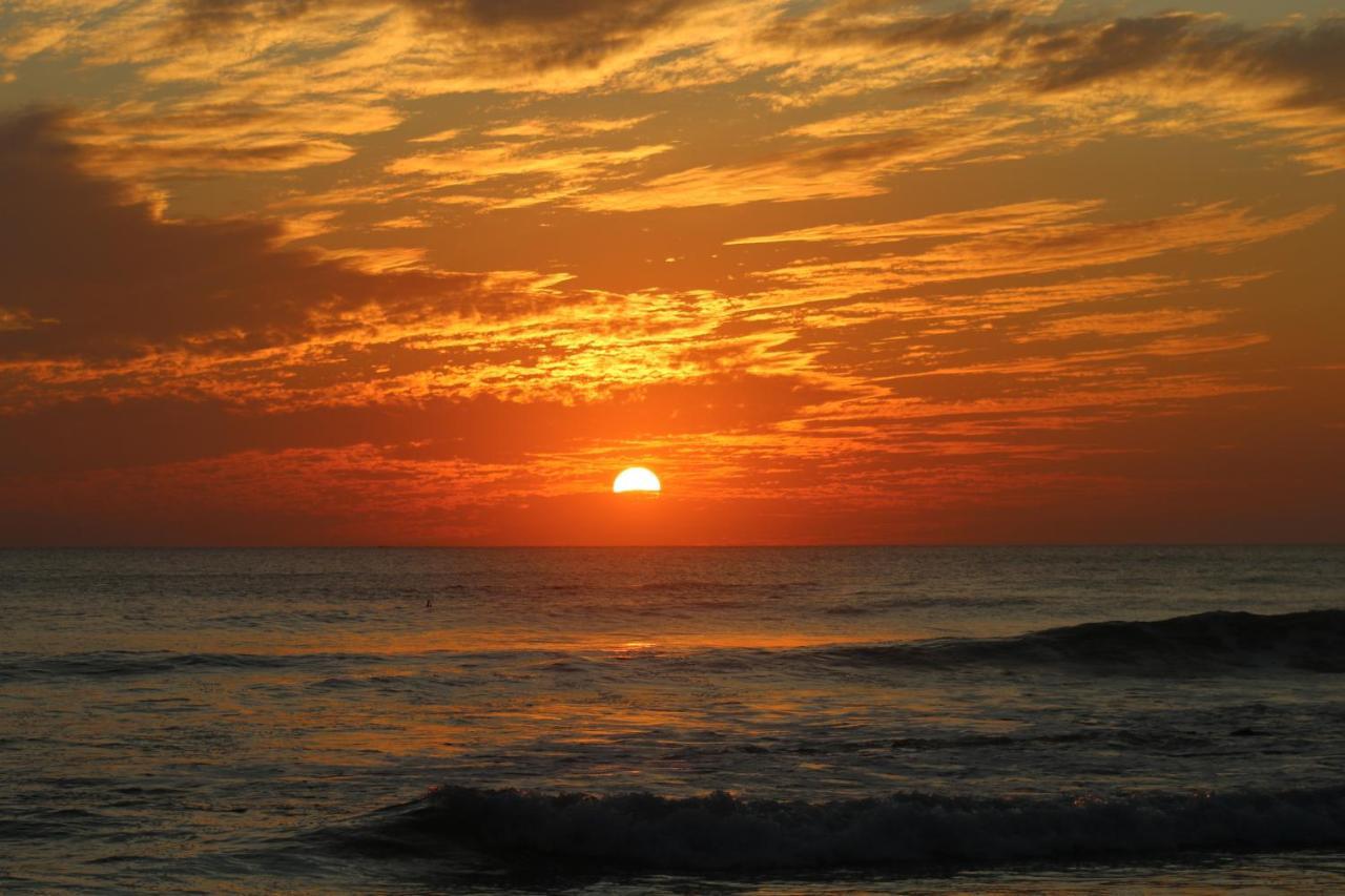 El Gato Rojas Surf Hostel Playa Santa Teresa  Dış mekan fotoğraf