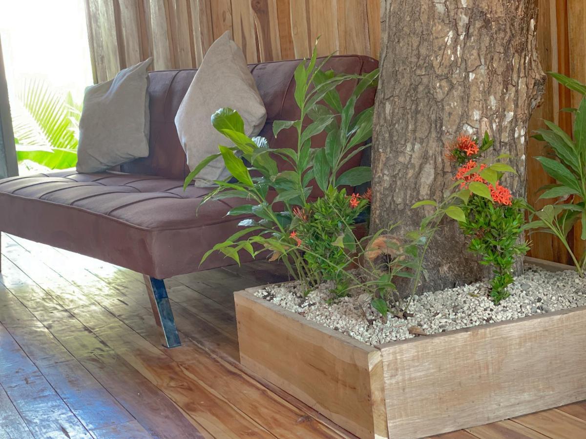 El Gato Rojas Surf Hostel Playa Santa Teresa  Dış mekan fotoğraf