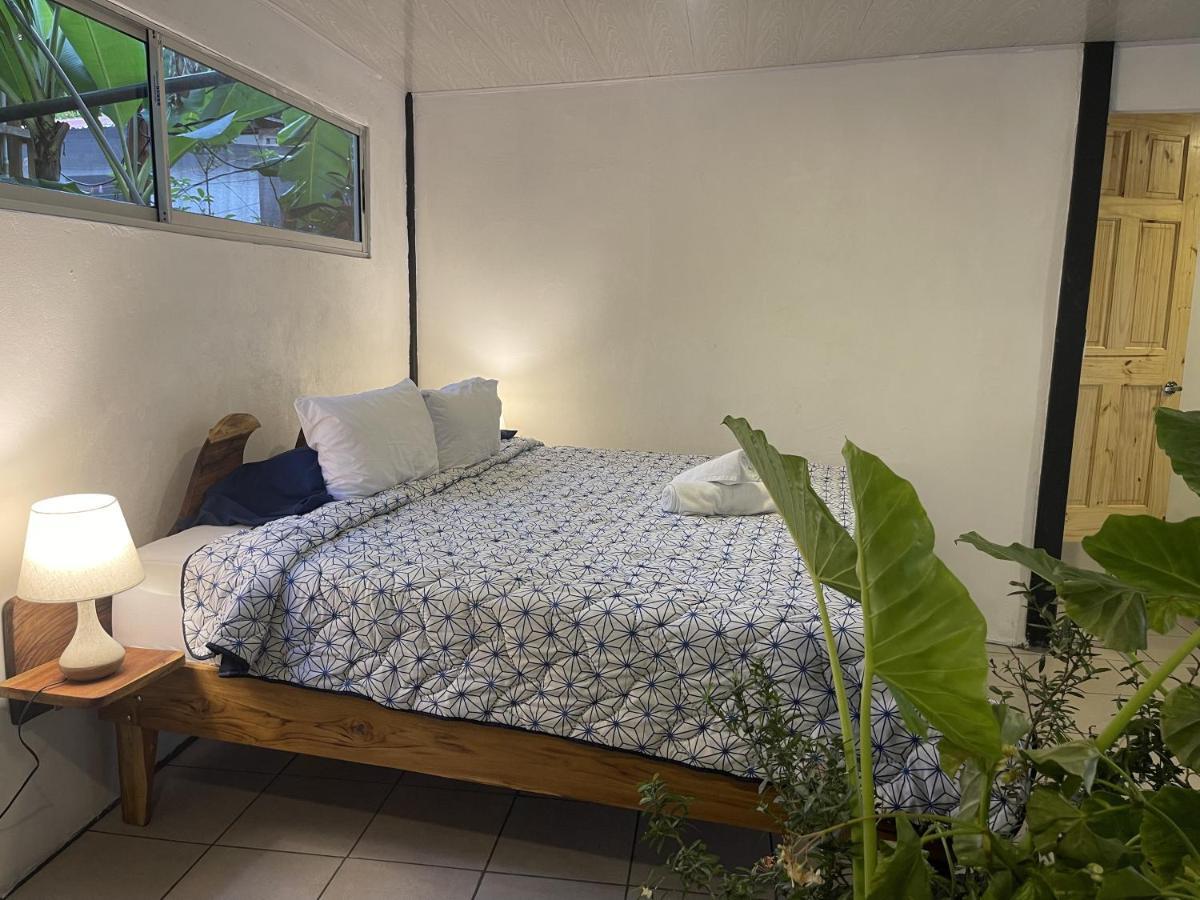 El Gato Rojas Surf Hostel Playa Santa Teresa  Dış mekan fotoğraf