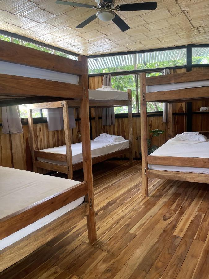 El Gato Rojas Surf Hostel Playa Santa Teresa  Dış mekan fotoğraf